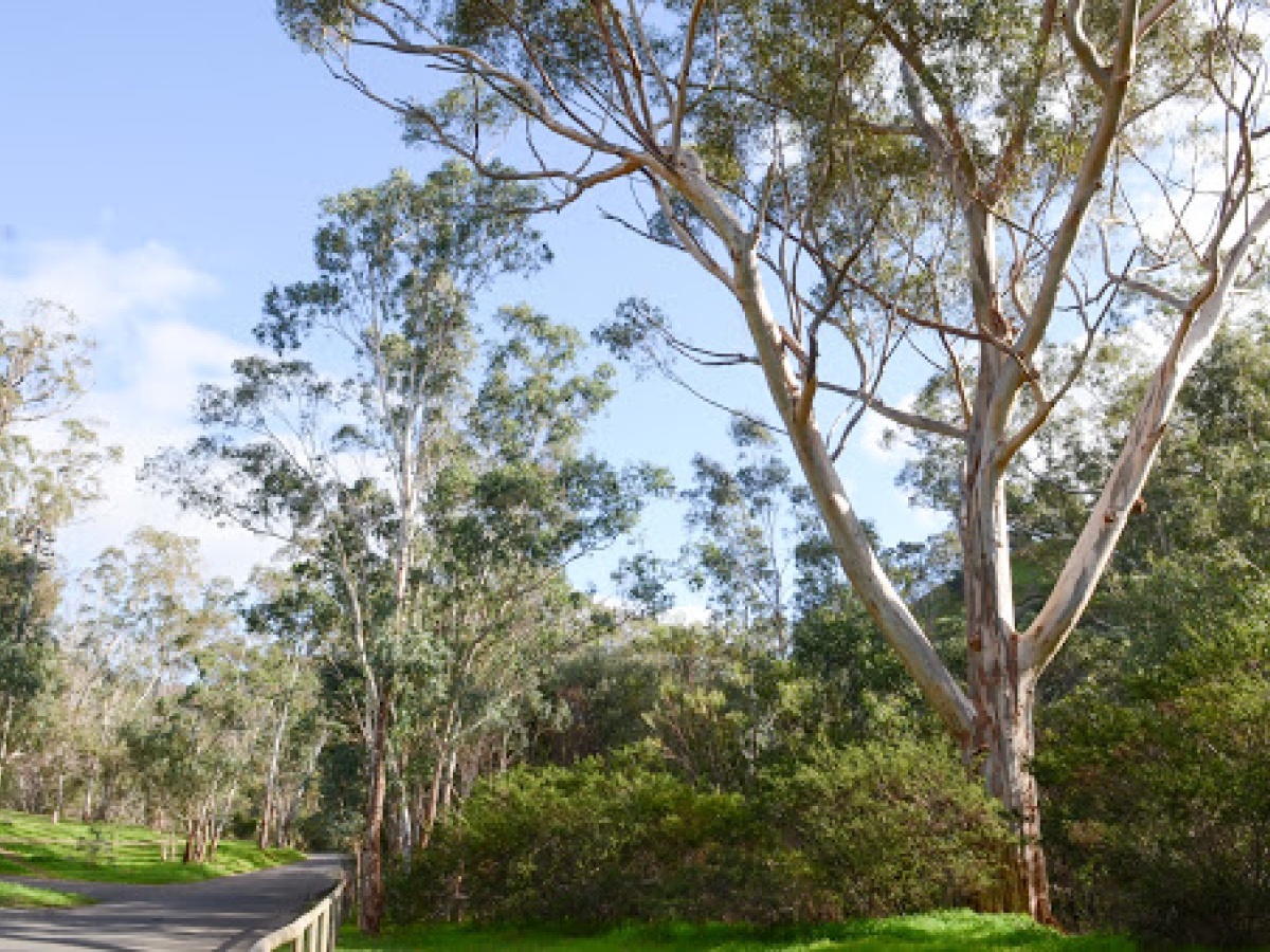 Brownhill Creek Recreation Park
