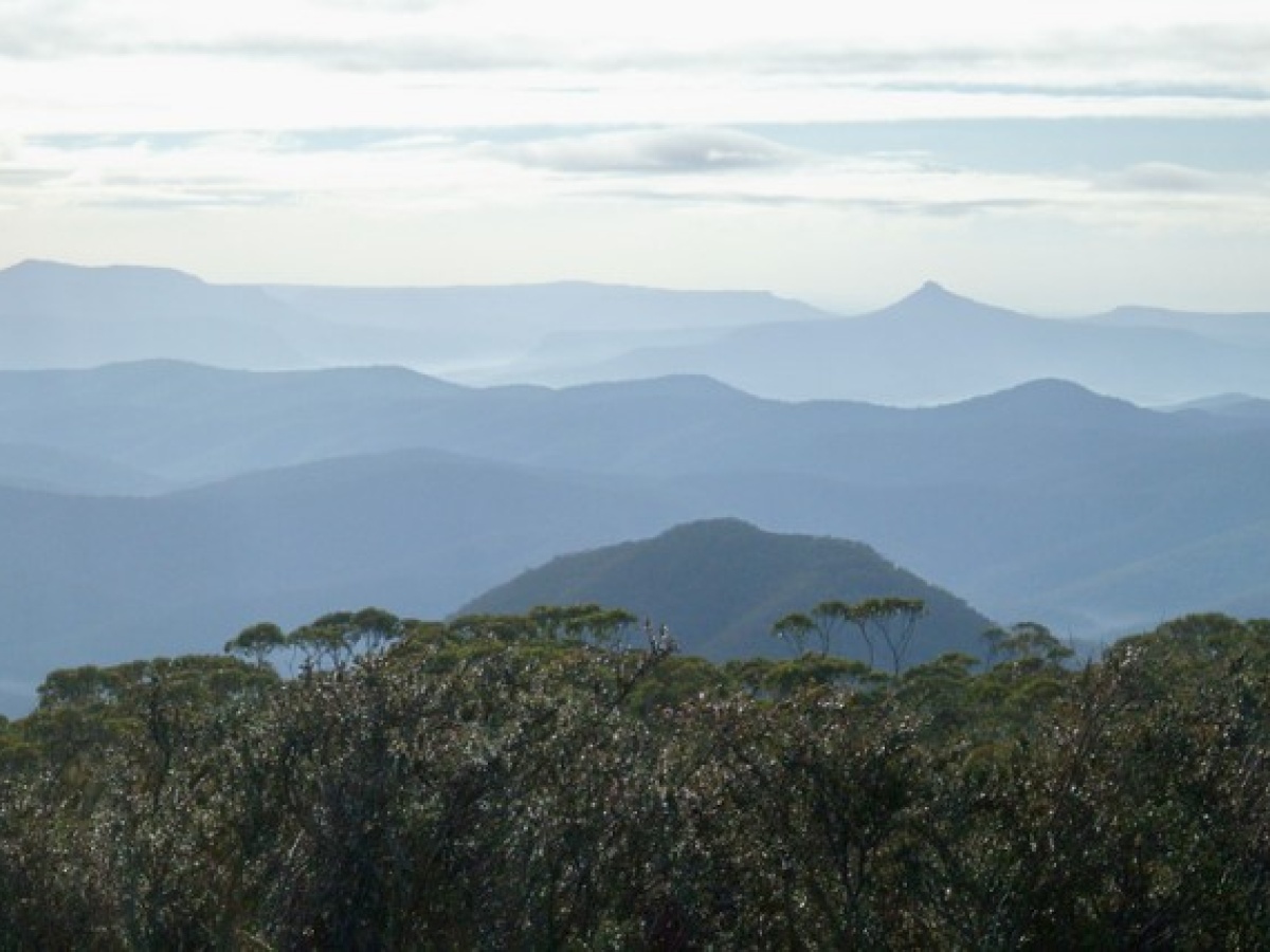 Budawang National Park