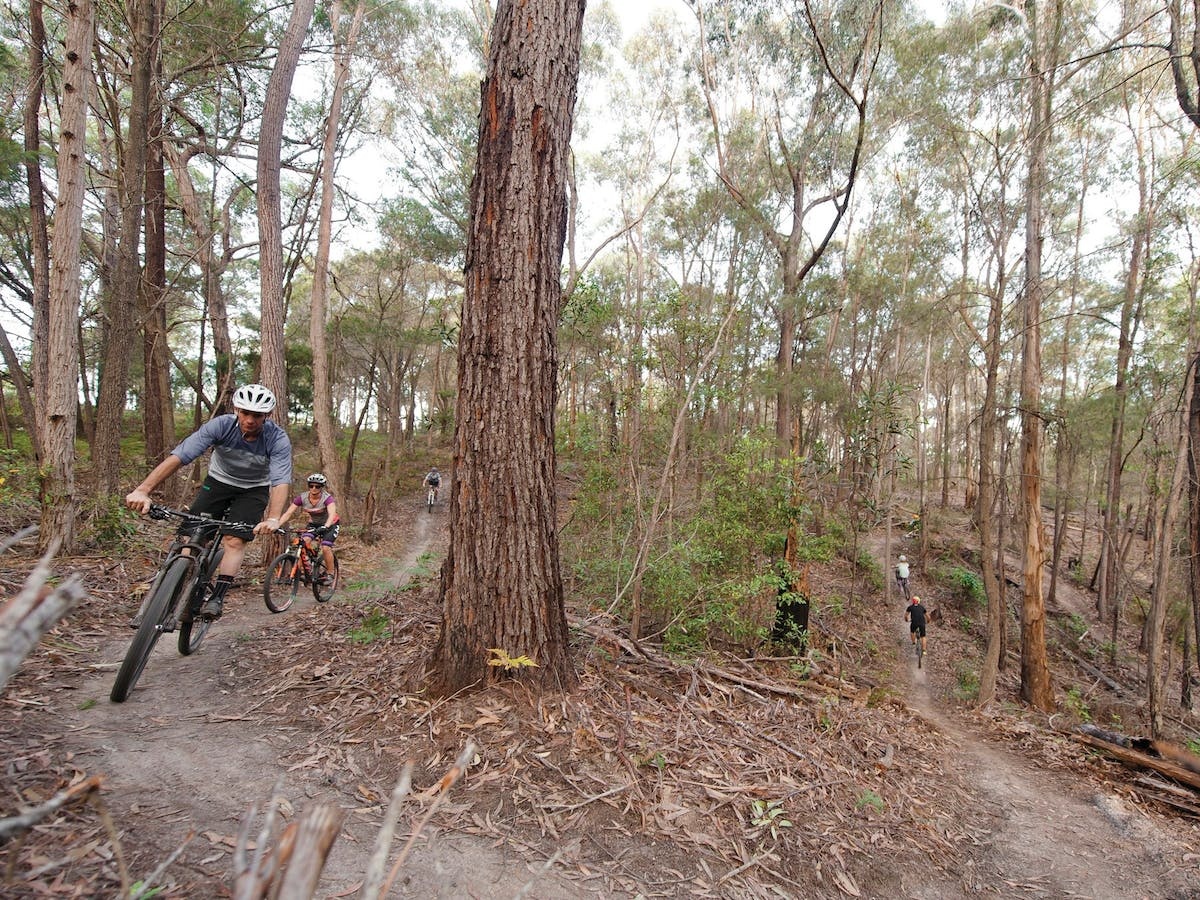 Tathra Mountain Bike Trails, Tathra