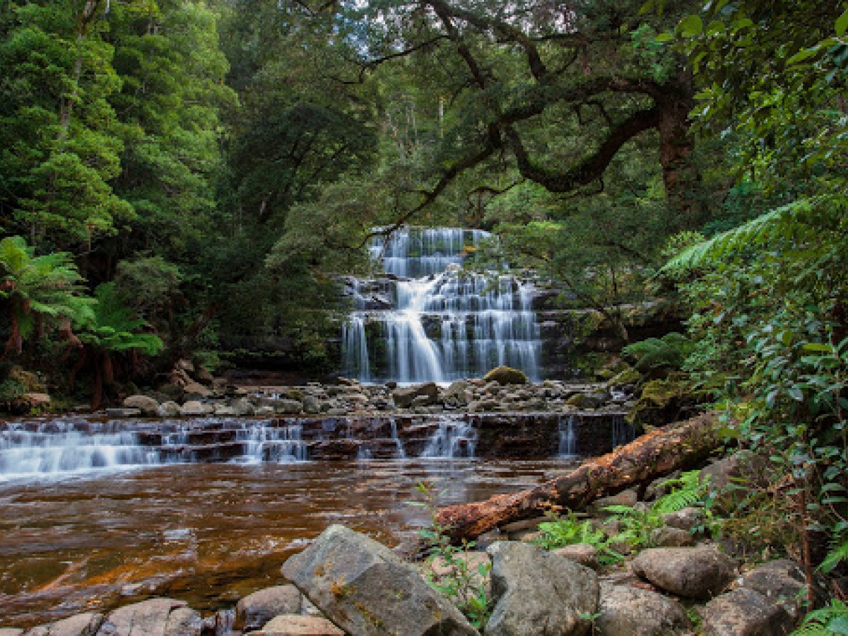 Liffey Falls Reserve