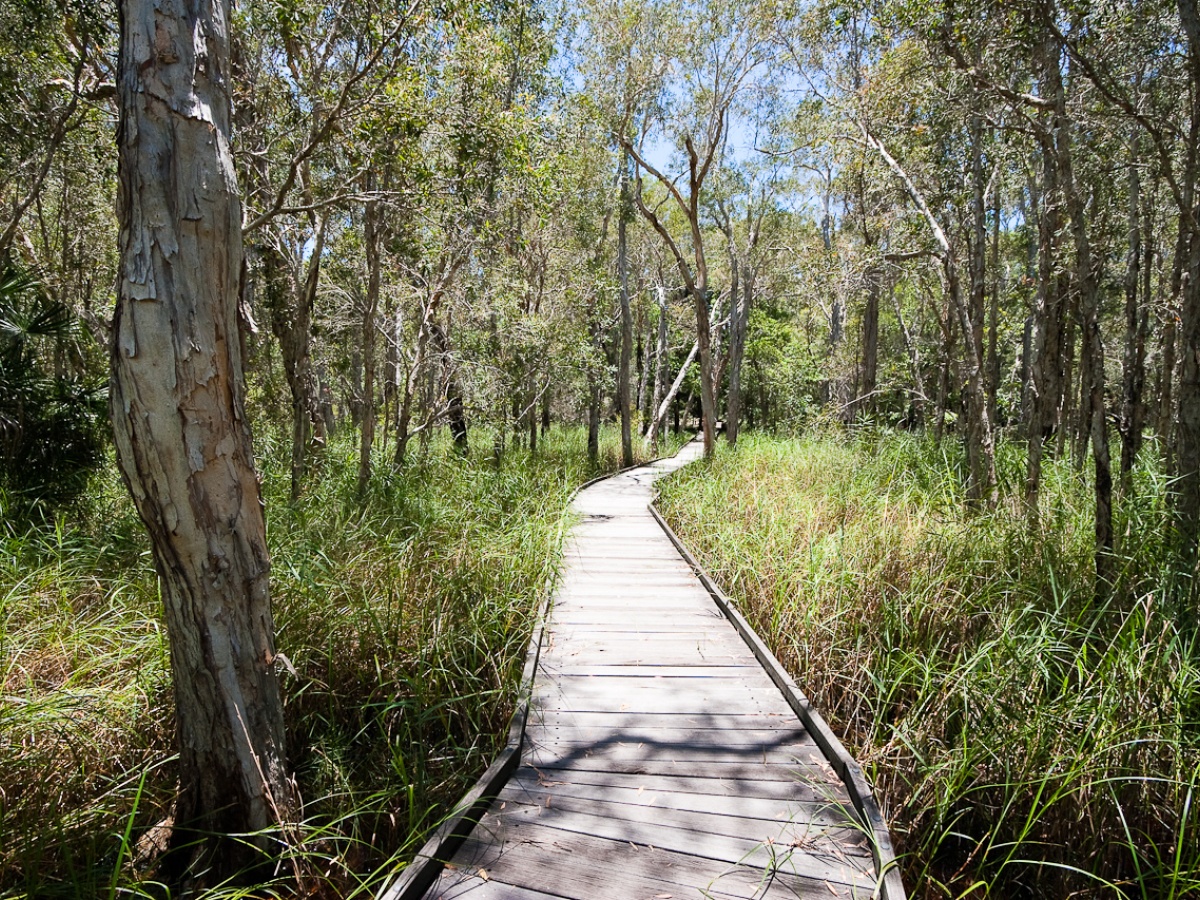 Burrum Coast National Park