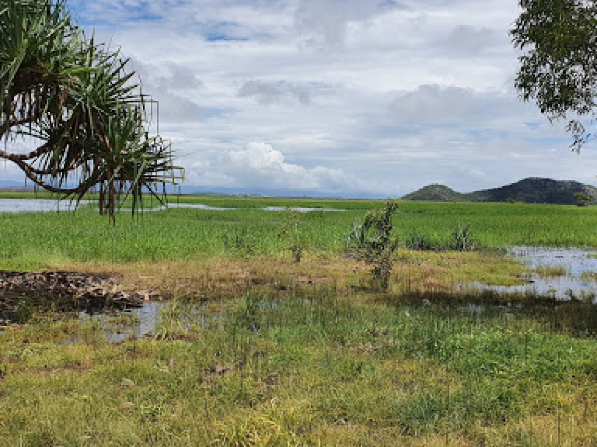 Townsville Town Common Conservation Park