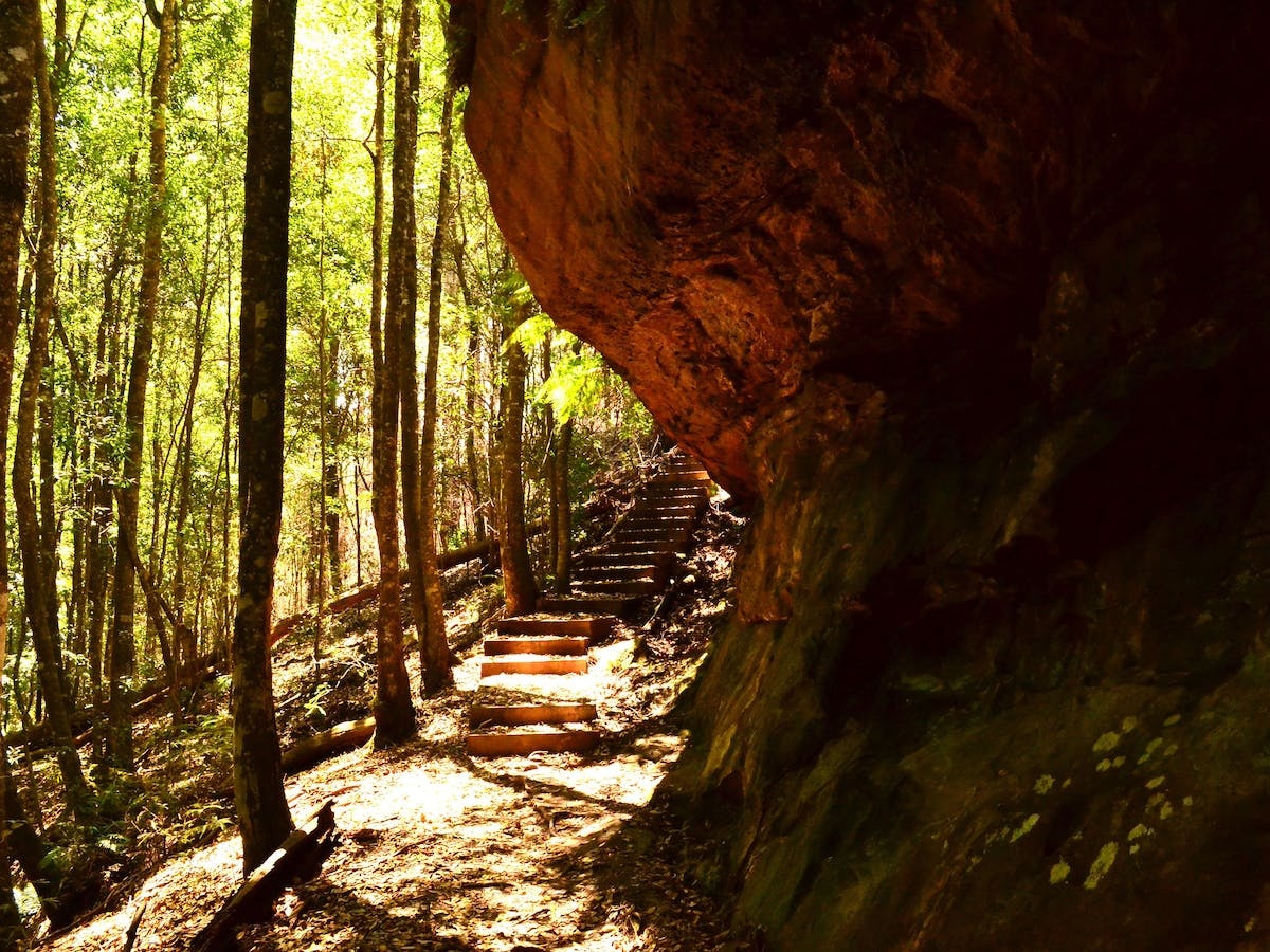 Cave Creek Walking Track, Hill Top
