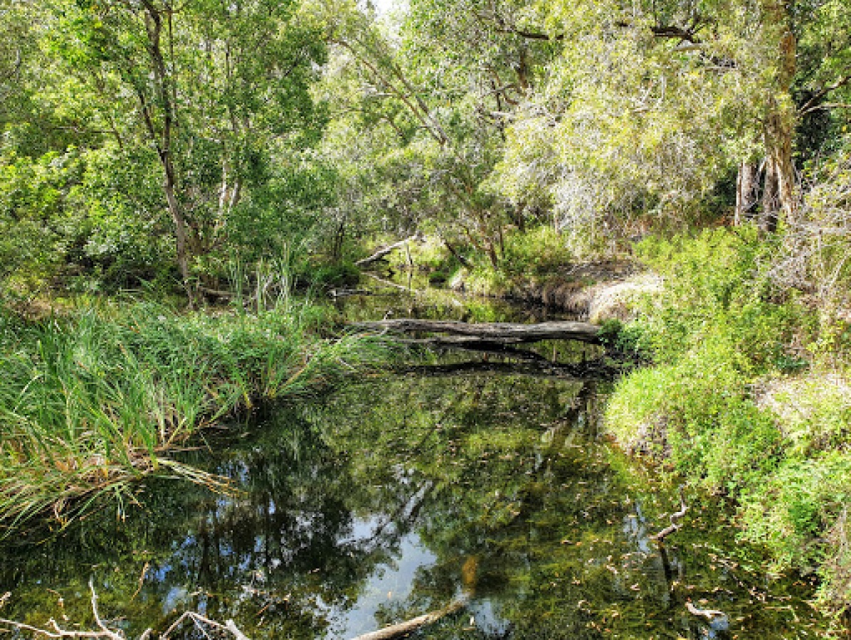 Redlands Track Park