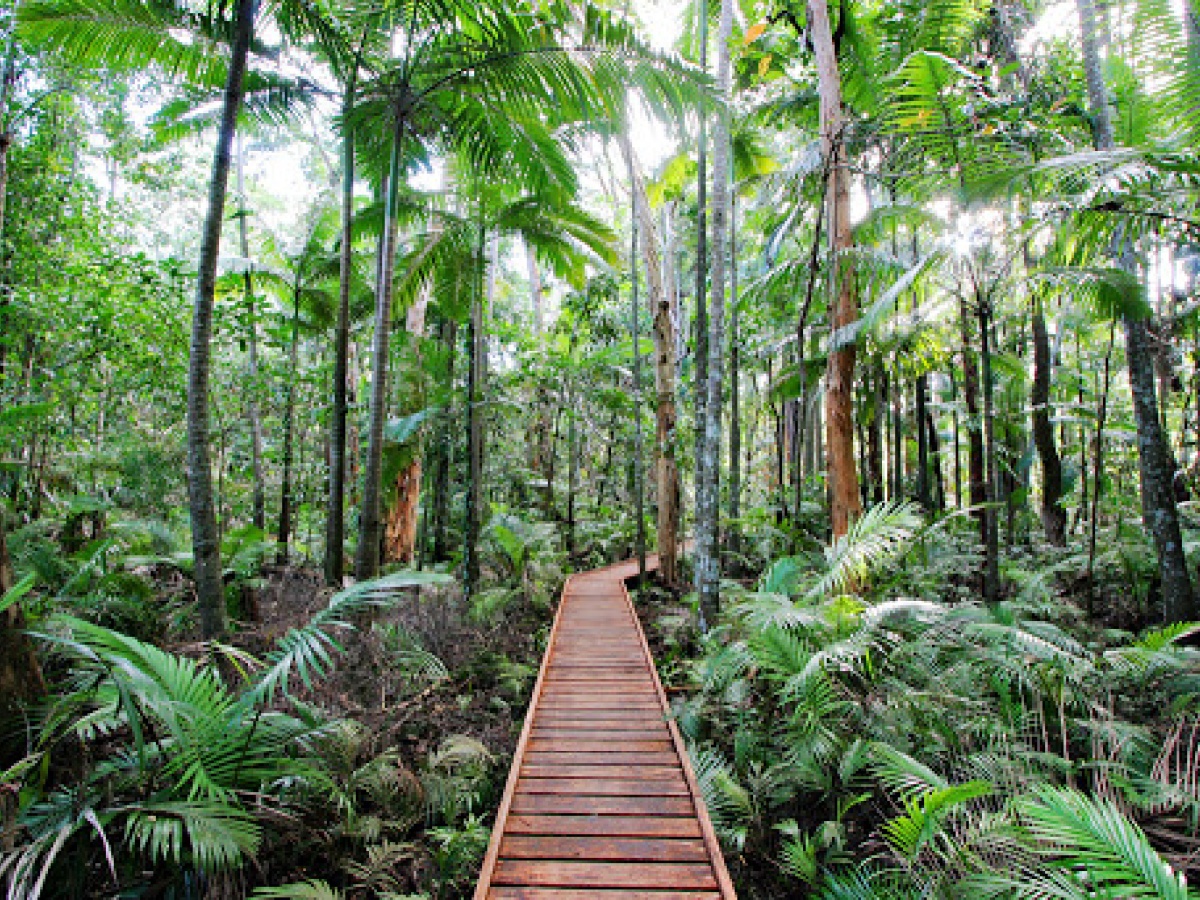 Cairns Botanic Gardens