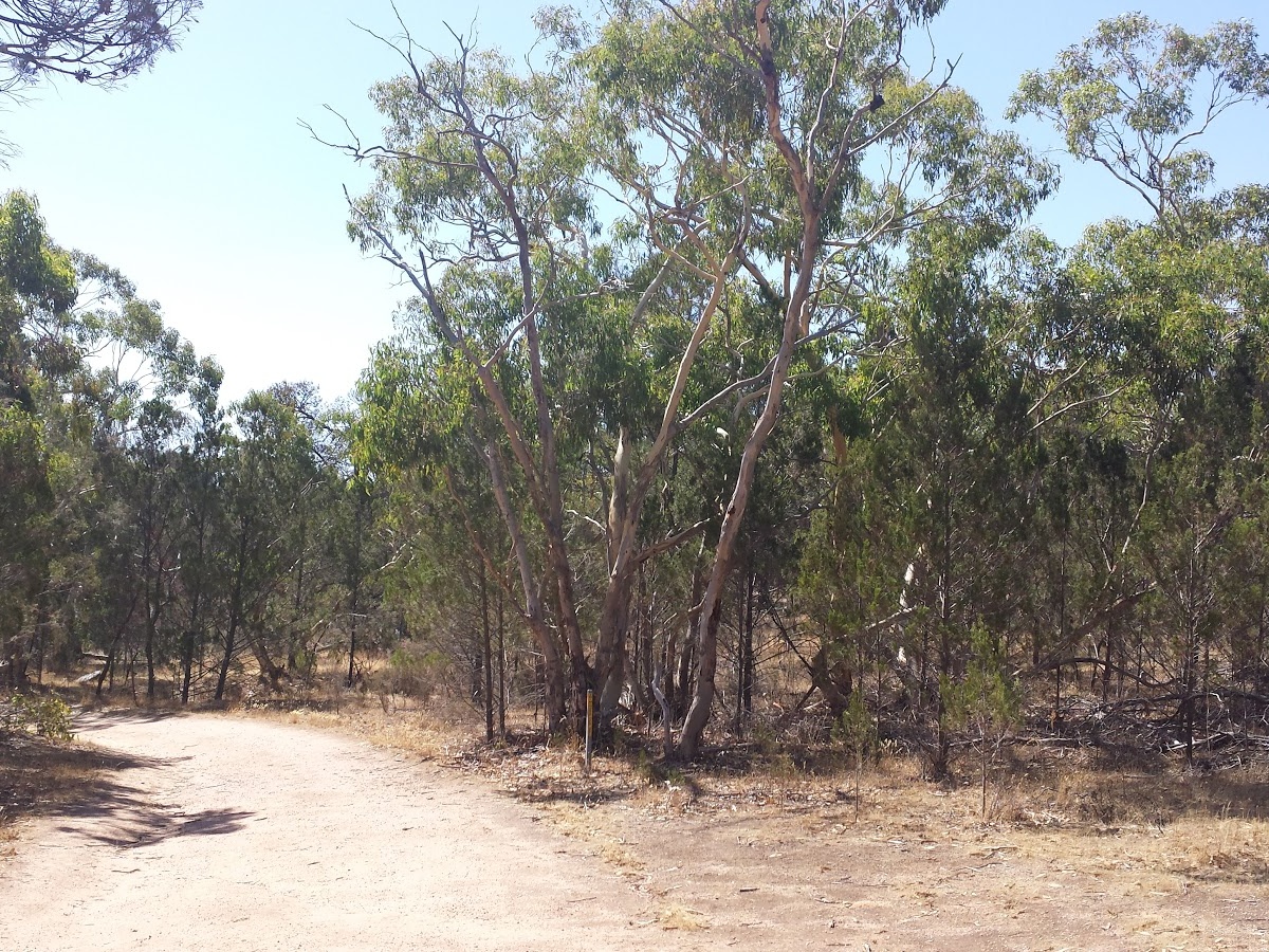 Sandy Creek Conservation Park, Sandy Creek