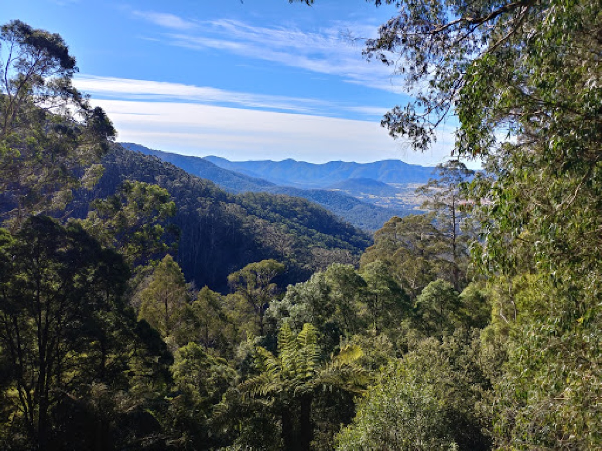 South East Forest National Park, Coolangubra