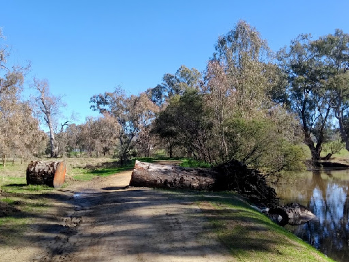 Tumut Wetlands