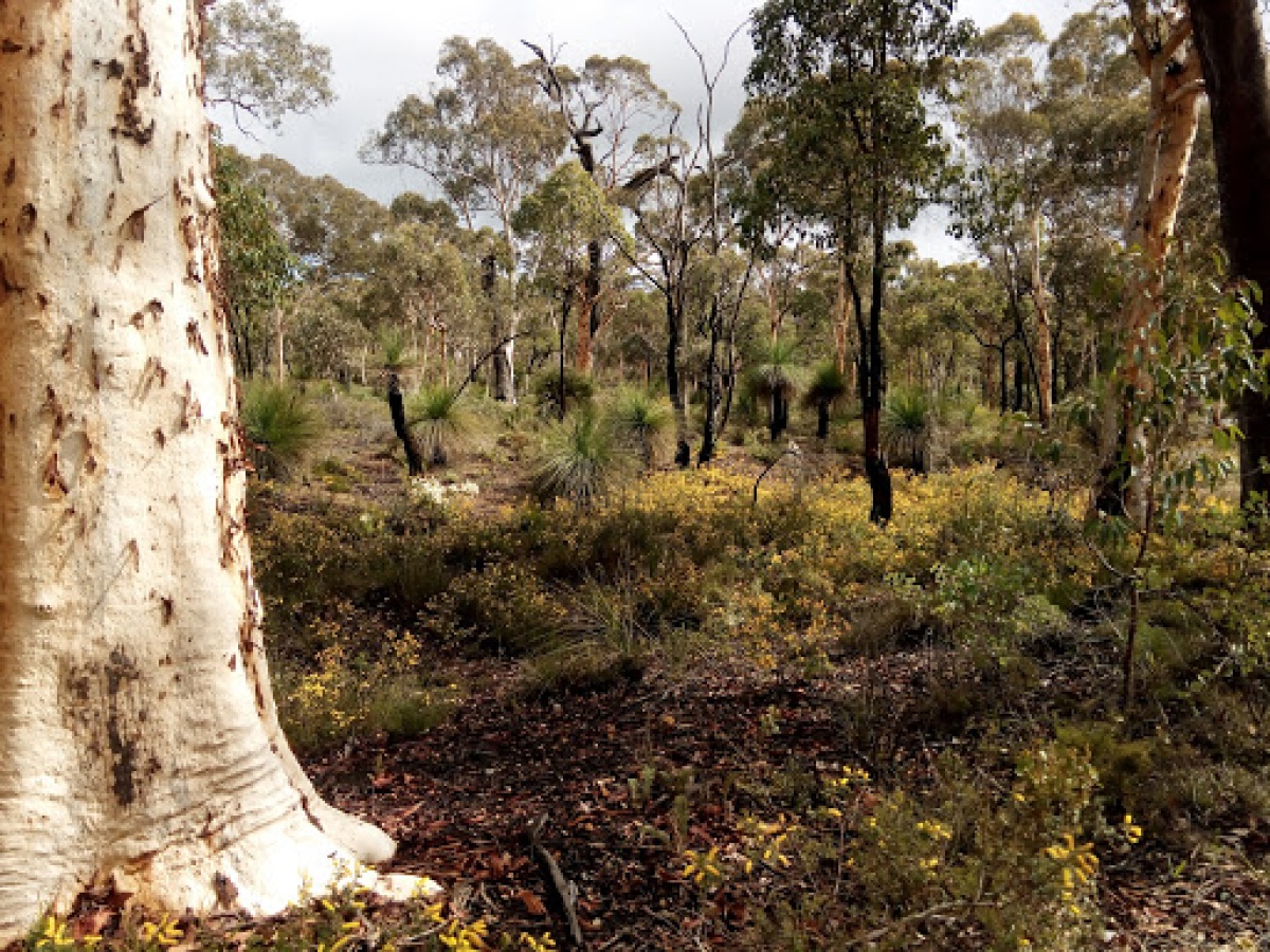 Dawn Atwell Nature Reserve