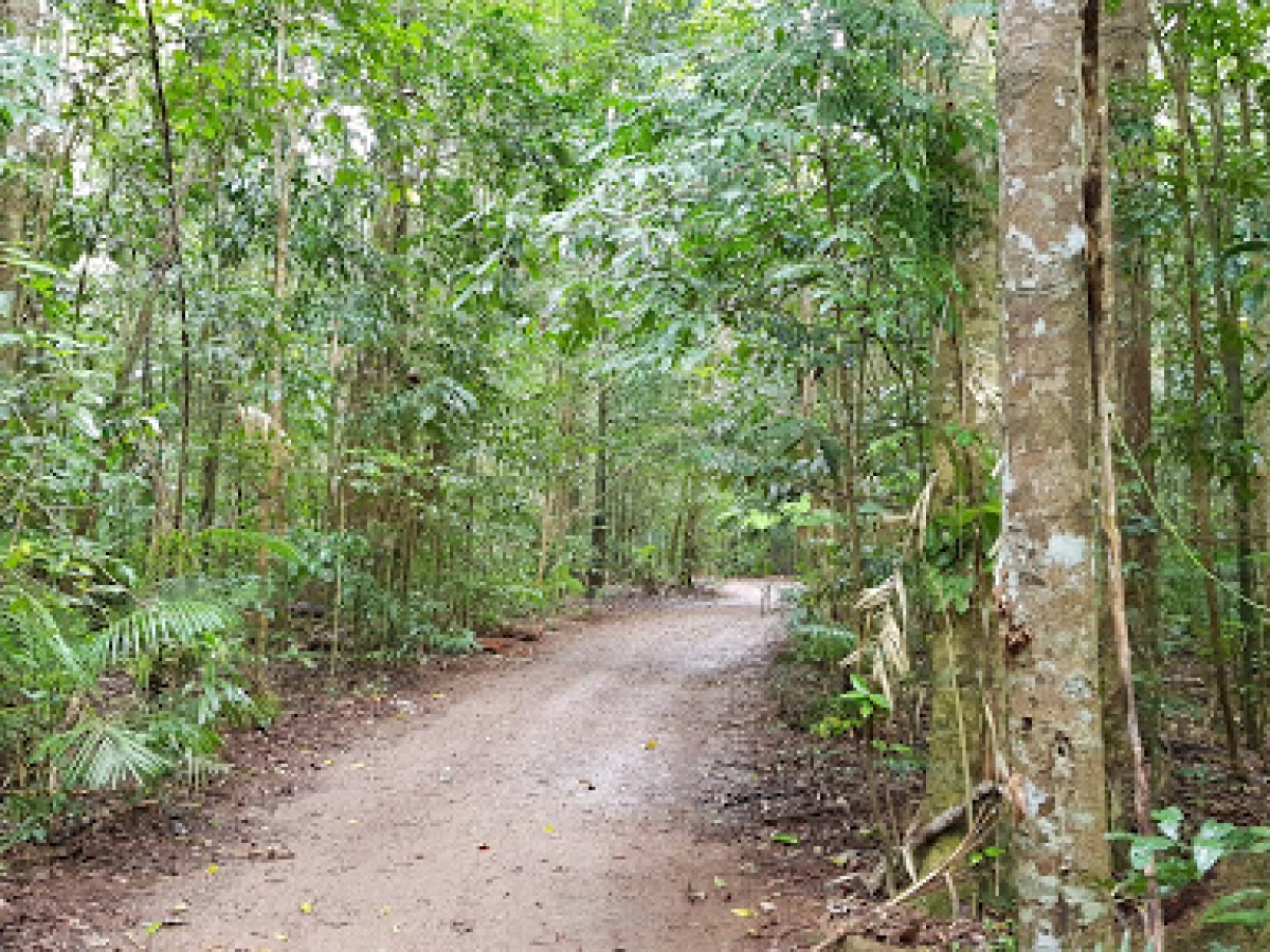 Danbulla National Park and State Forest