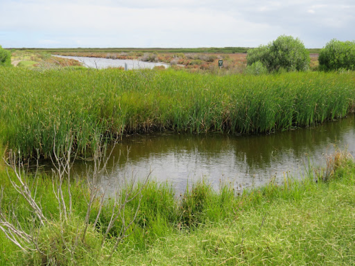 Tolderol Game Reserve