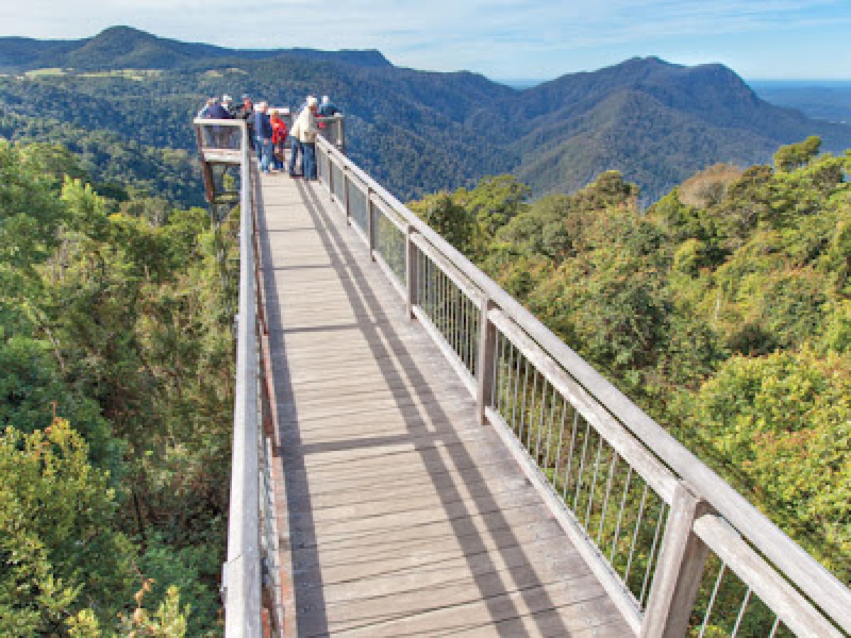 Skywalk lookout, Dorrigo Mountain
