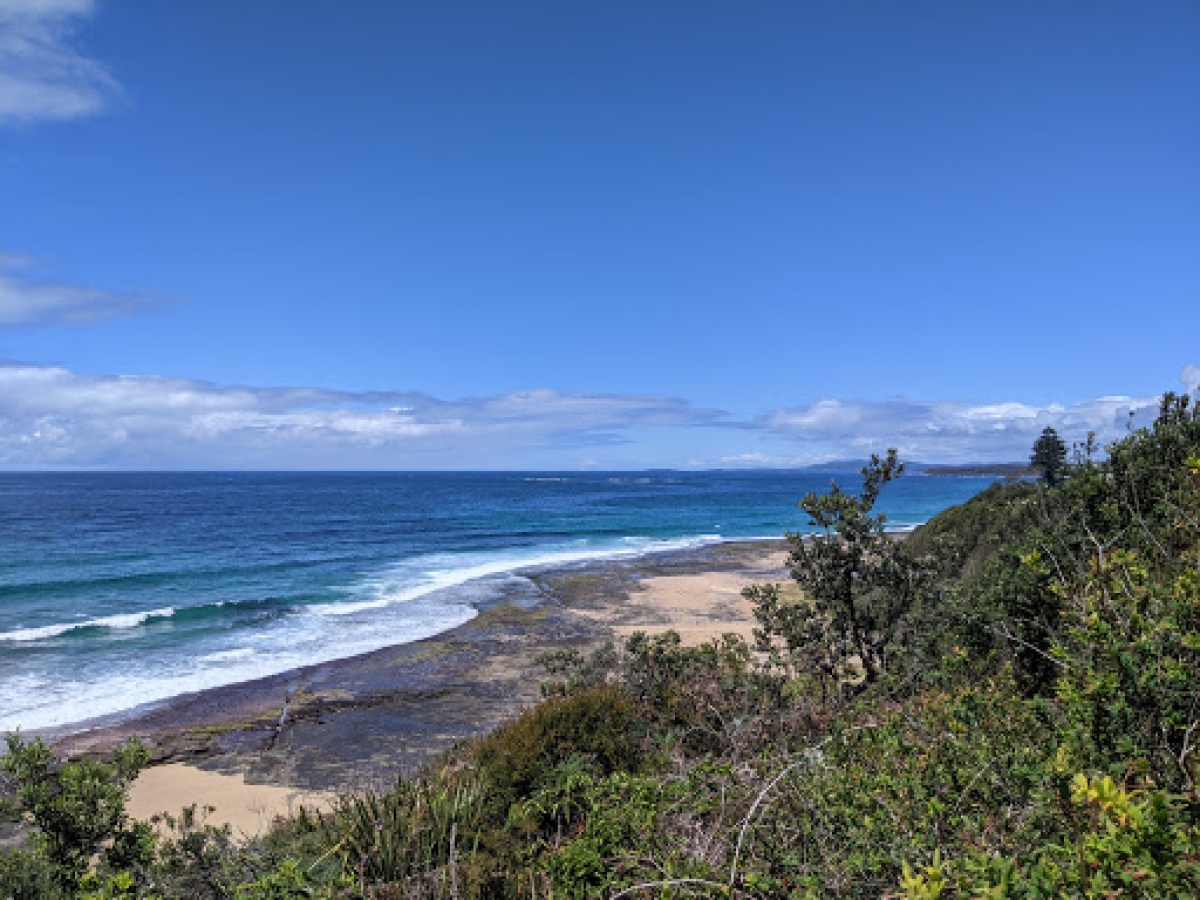 South Pacific Heathland Reserve