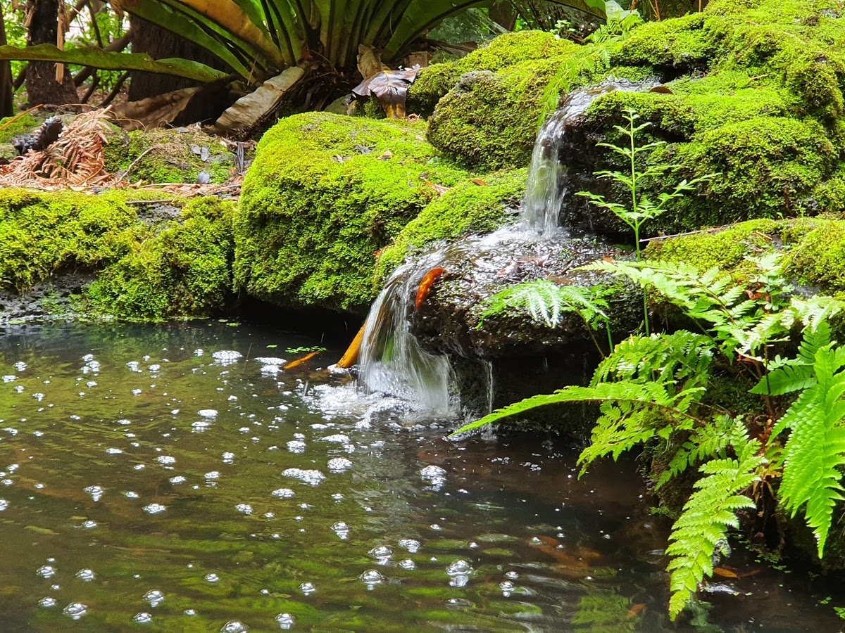 Friends of Geelong Botanic Gardens