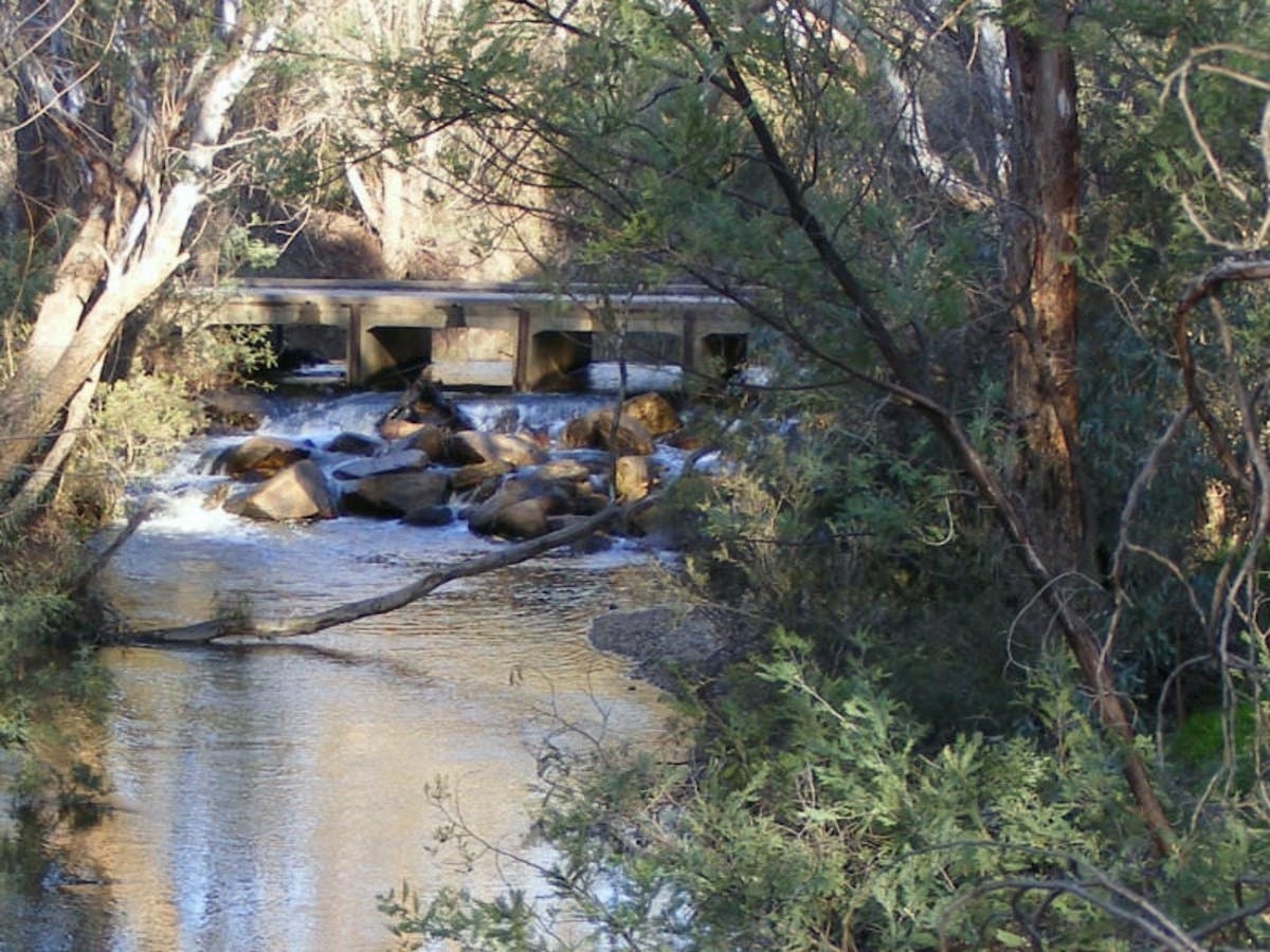 Gold Panning and Fossicking