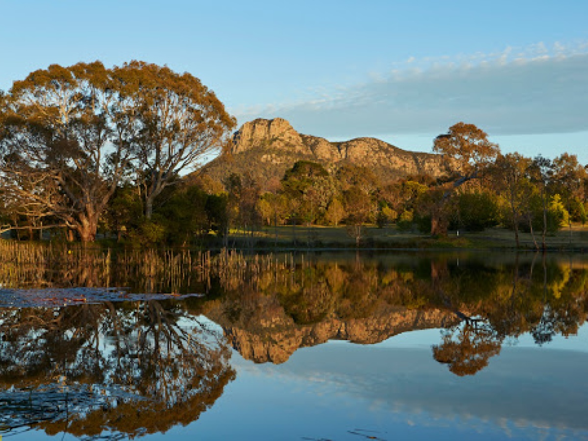 Dunkeld Arboretum