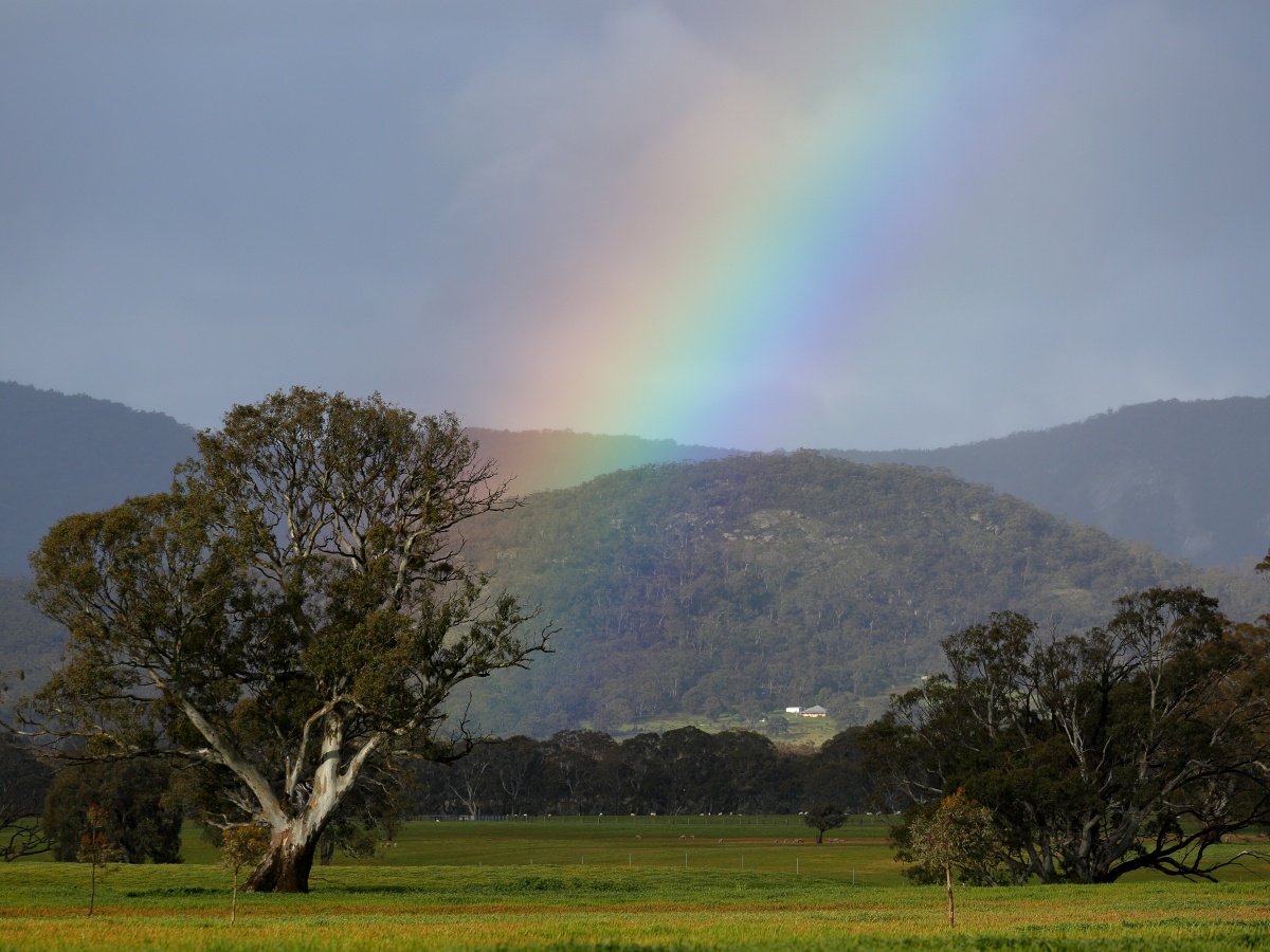 Mount Buangor State Park