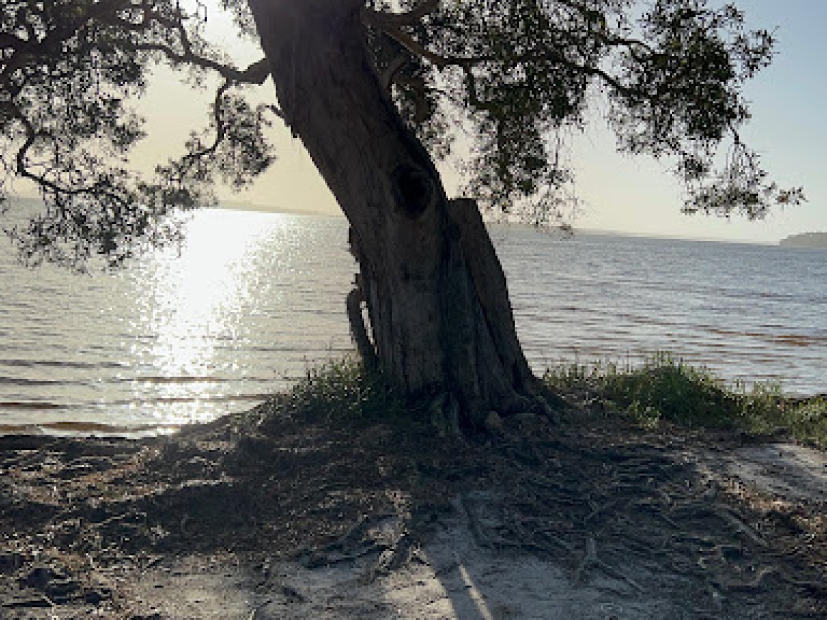 Sailing Club picnic area