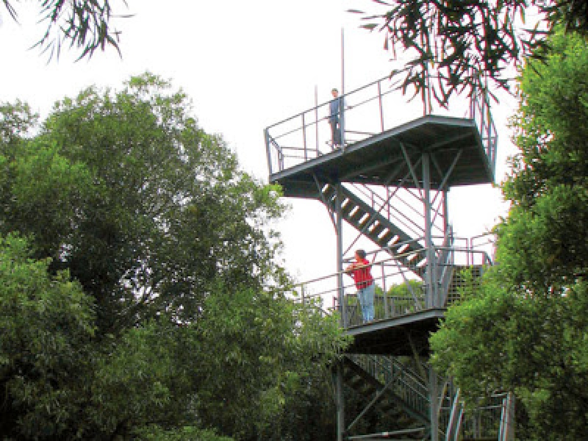 Cape Hawke lookout