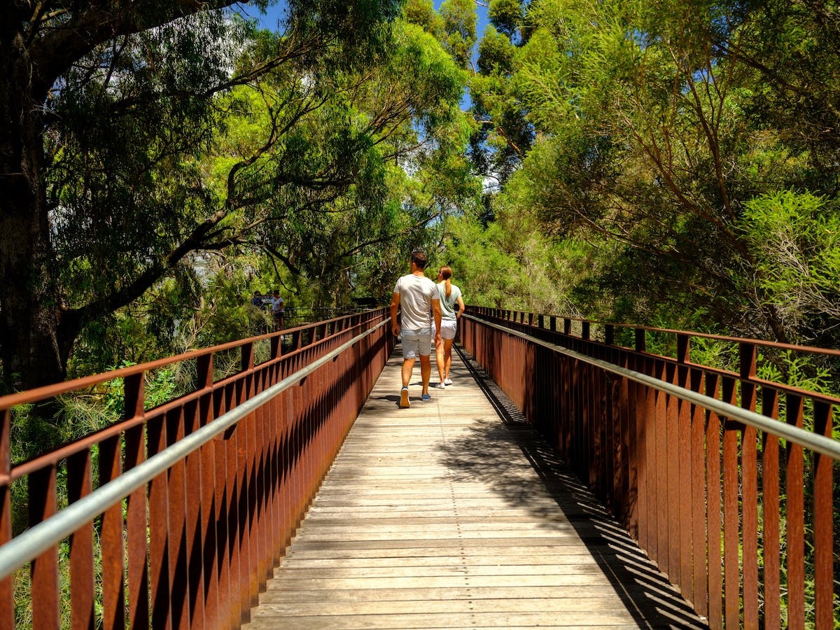 Lotterywest Federation Walkway – Kings Park