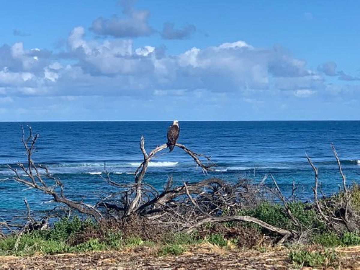 Horrocks Beach, Horrocks