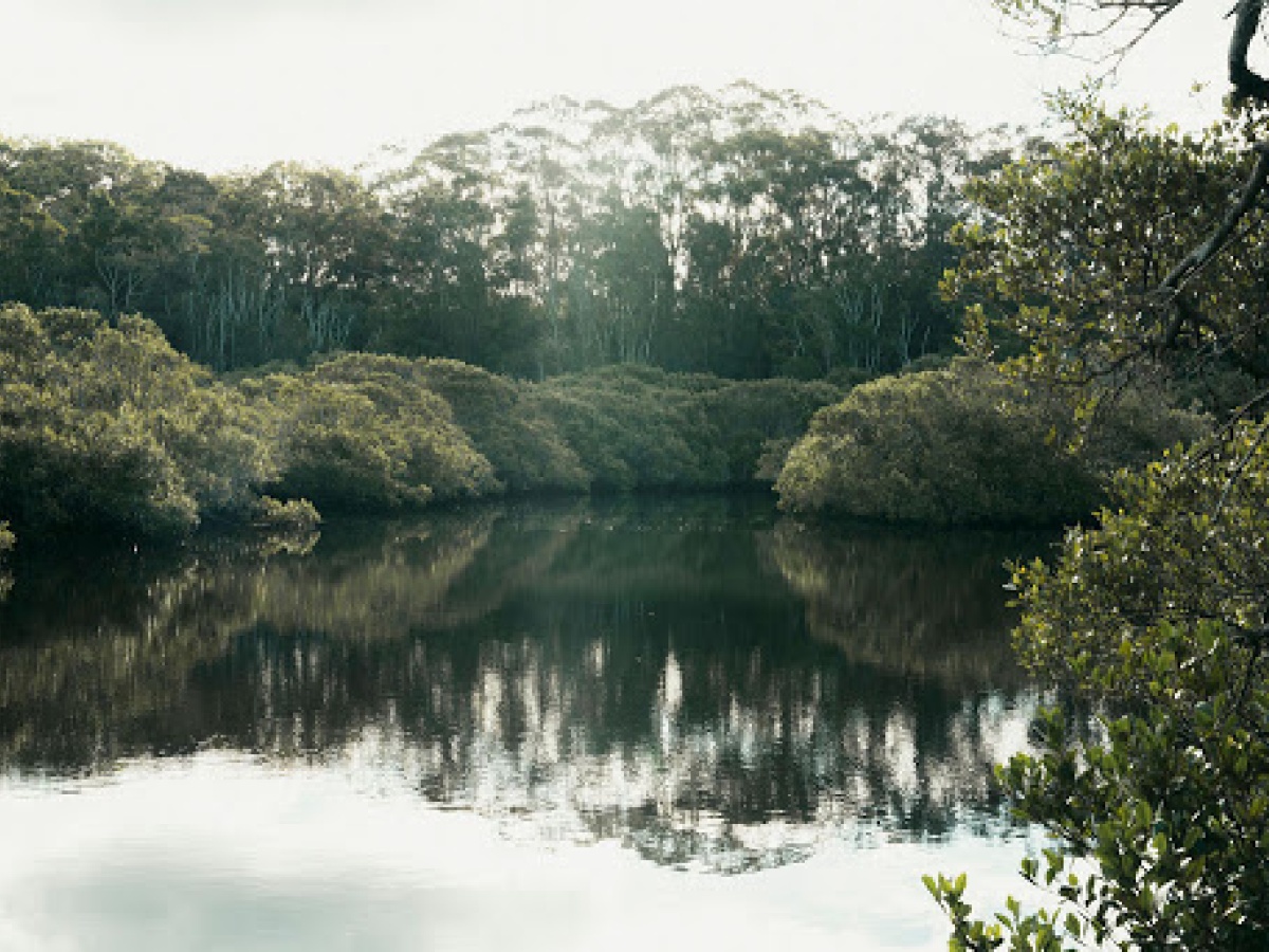Kooloonbung Creek Nature Reserve and Historic Cemetery