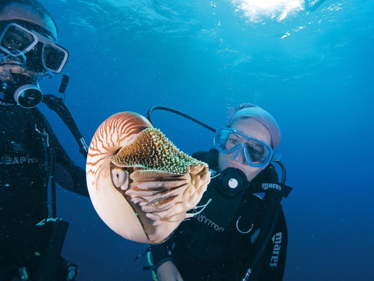 Agincourt Reef