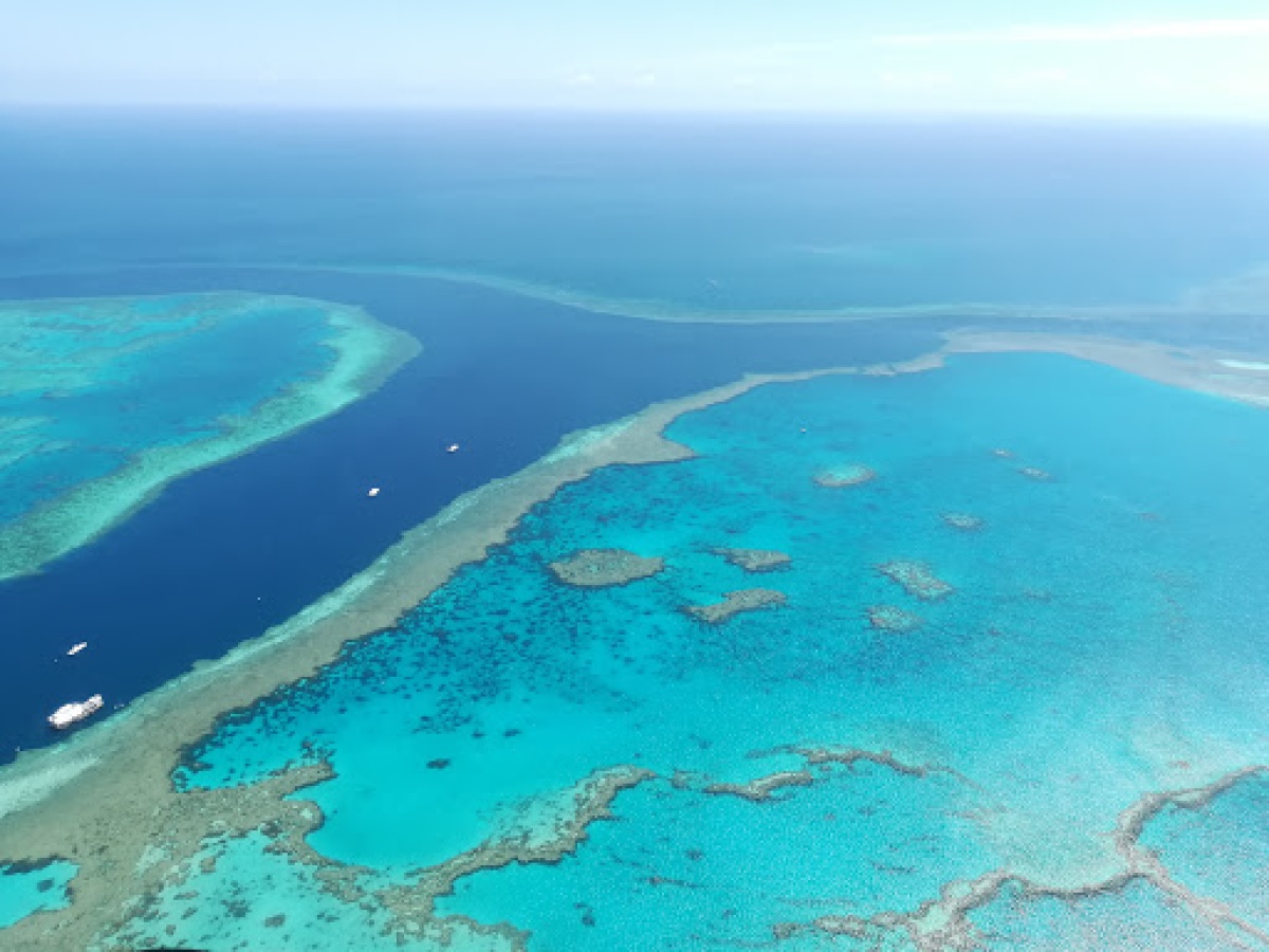 Hardy Reef
