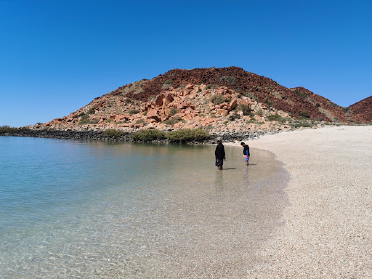 Hearson’s Cove