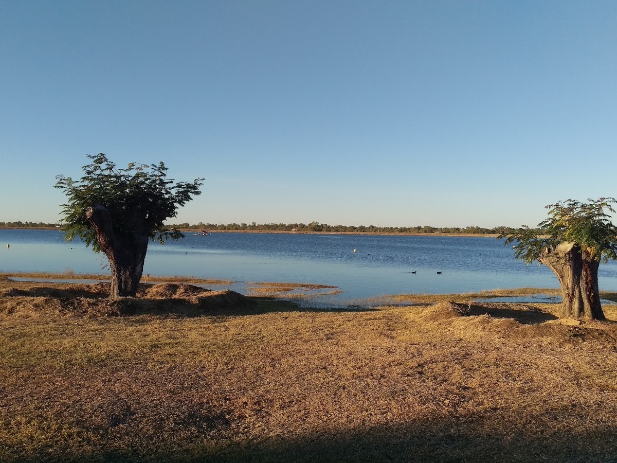 Bush Tucker Garden