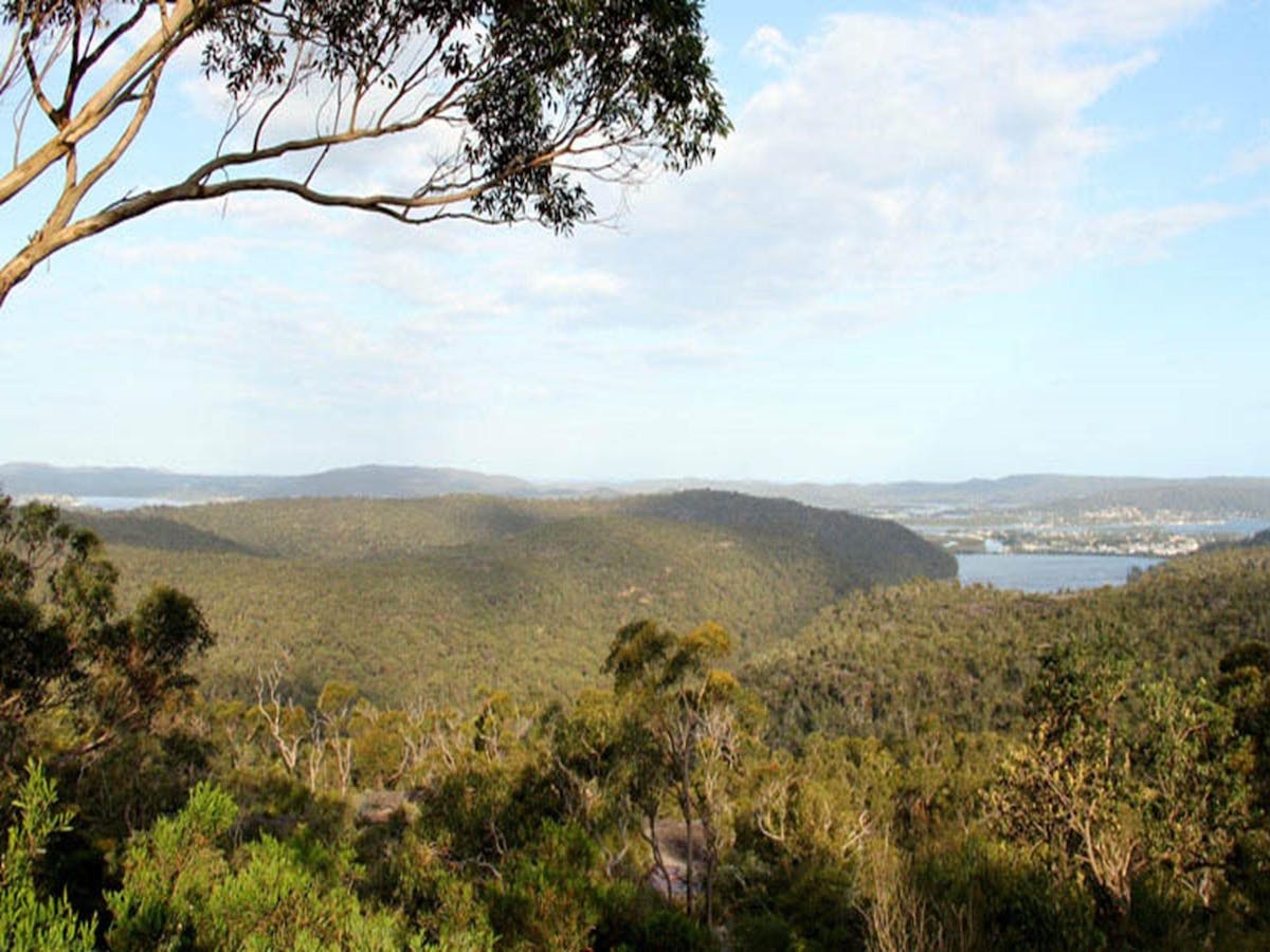 Staples lookout, Kariong