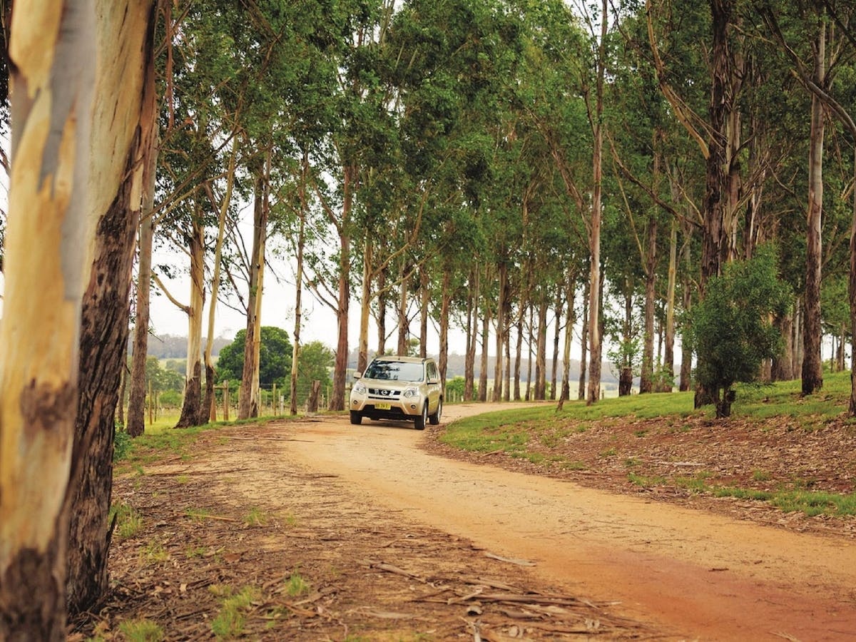 Kingaroy Lions Park, Kingaroy