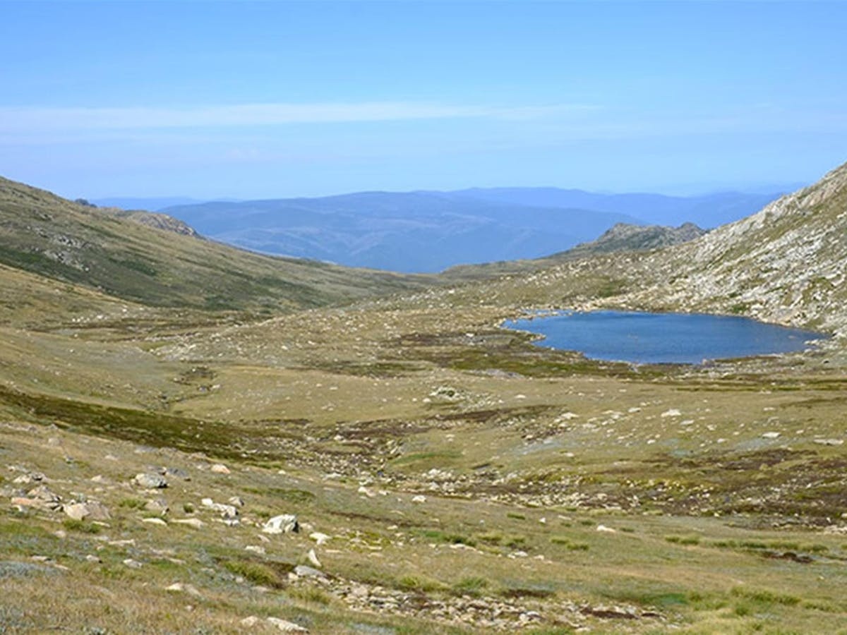 Cootapatamba lookout
