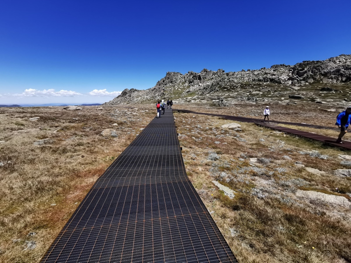 Kosciuszko lookout