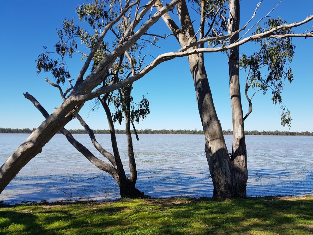 Lake Broadwater Conservation Park, Dalby
