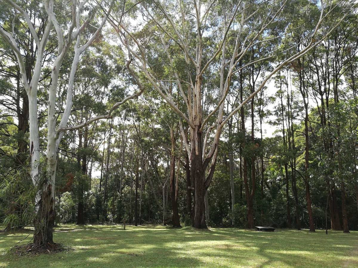 Macquarie Nature Reserve