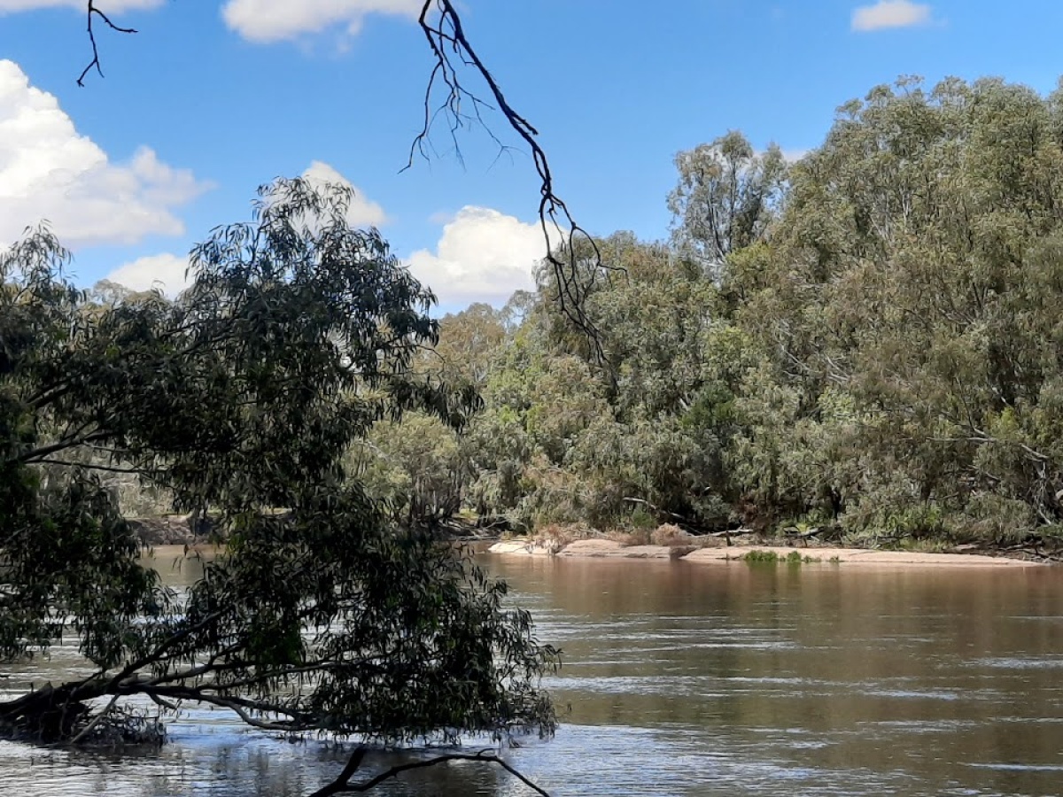 Narrandera Wetlands