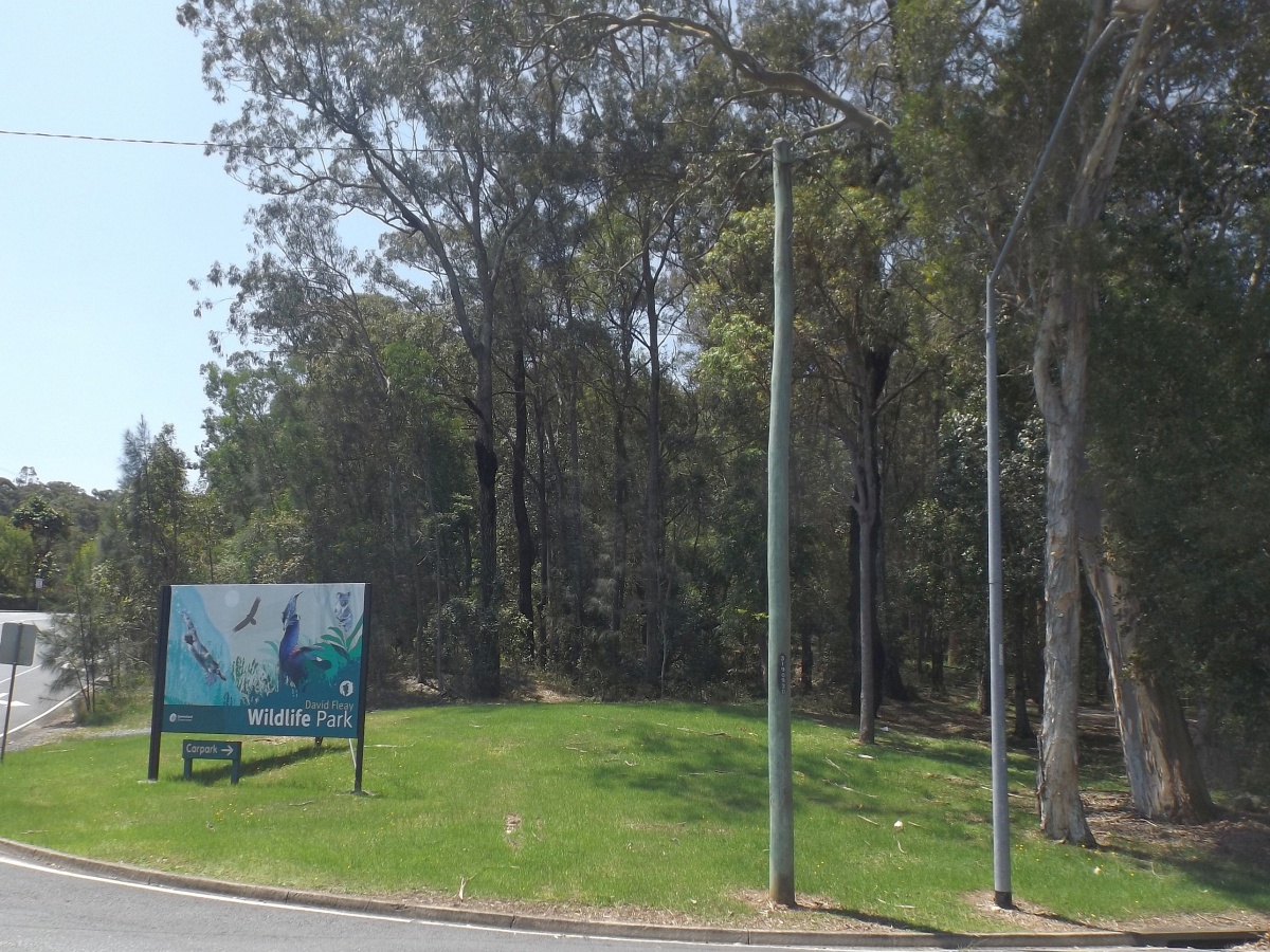 David Fleay Wildlife Park, Burleigh Heads