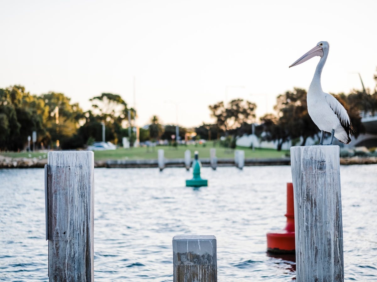 Mandurah Eastern Foreshore