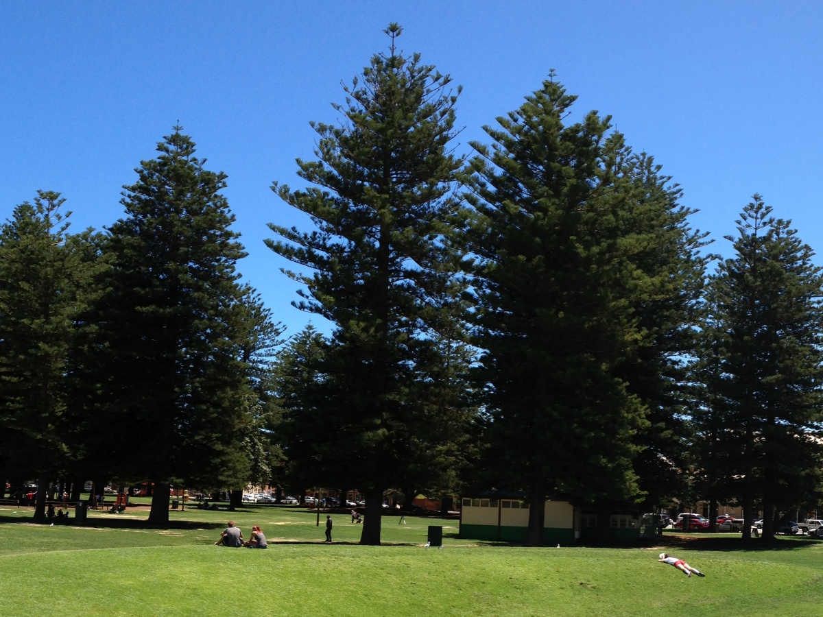 Esplanade Reserve
