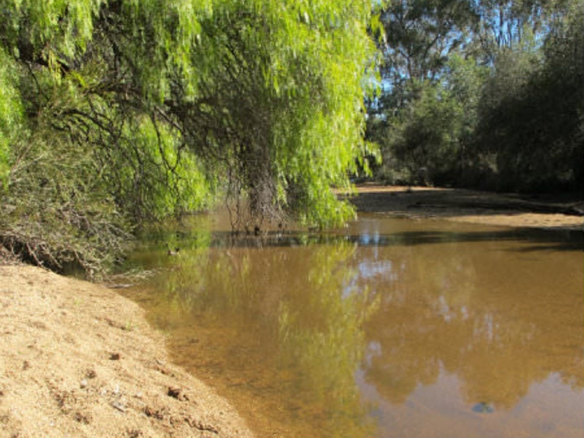 The Gumboot Walk Eldorado, Eldorado