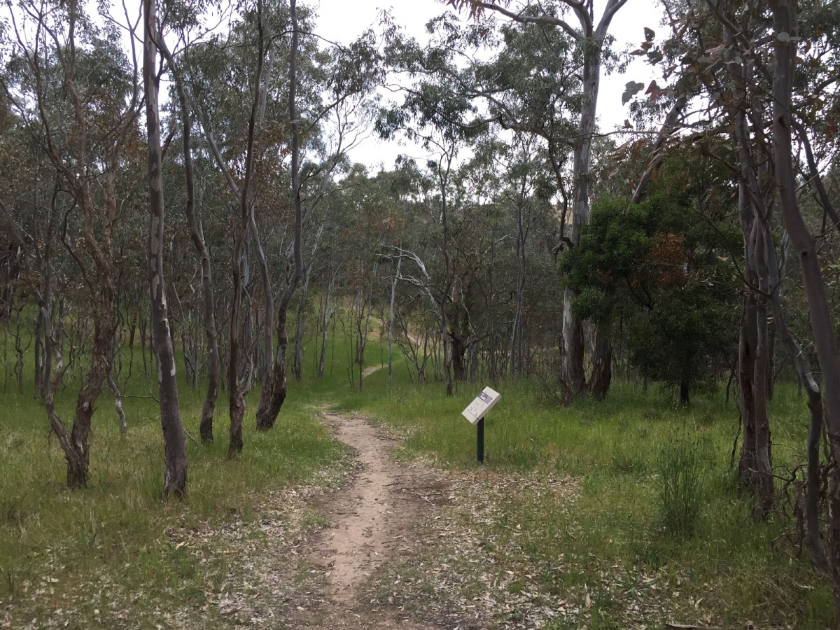 McKenzie Flora Reserve