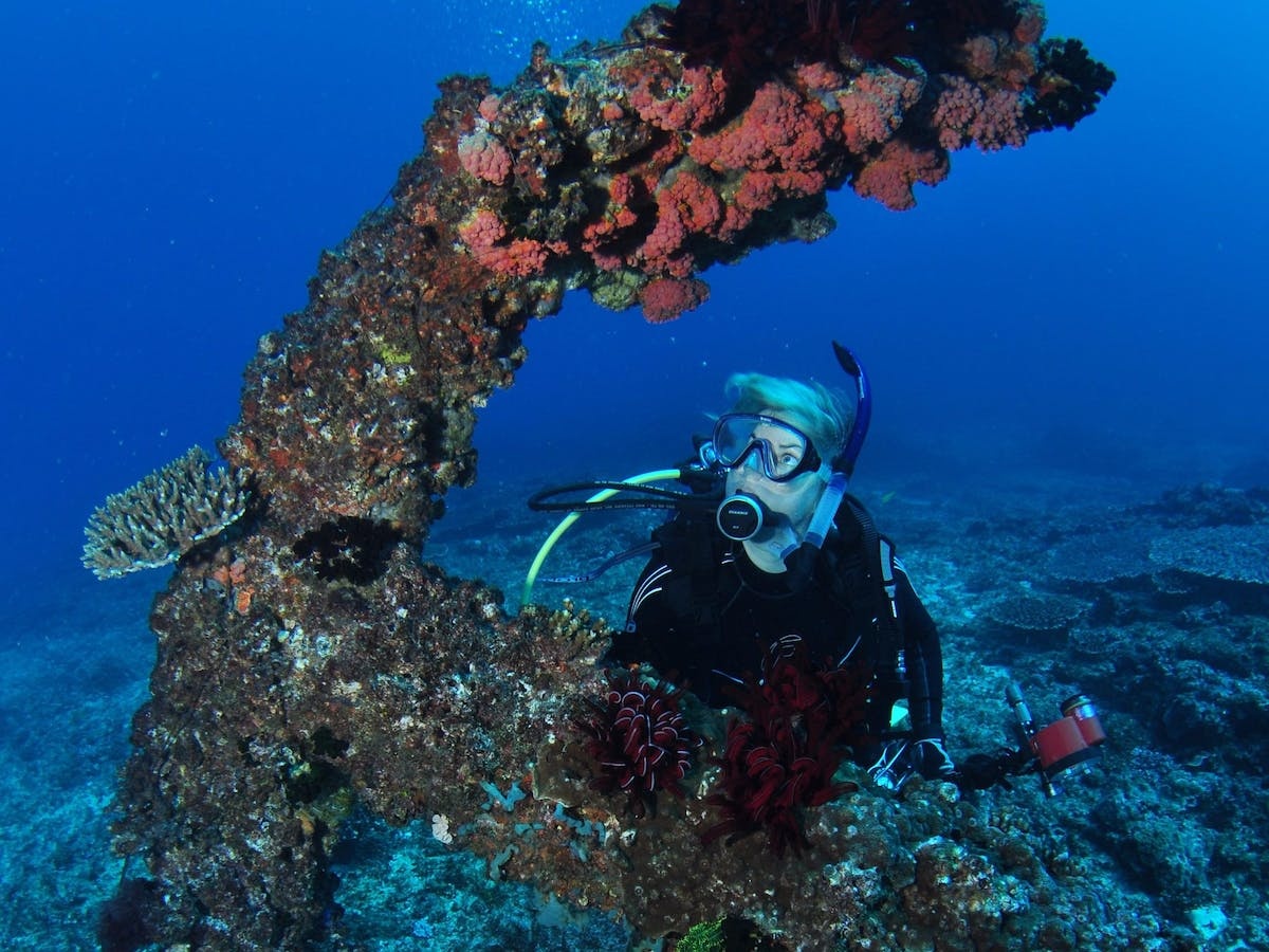 Hutchinson Shoal Dive Site
