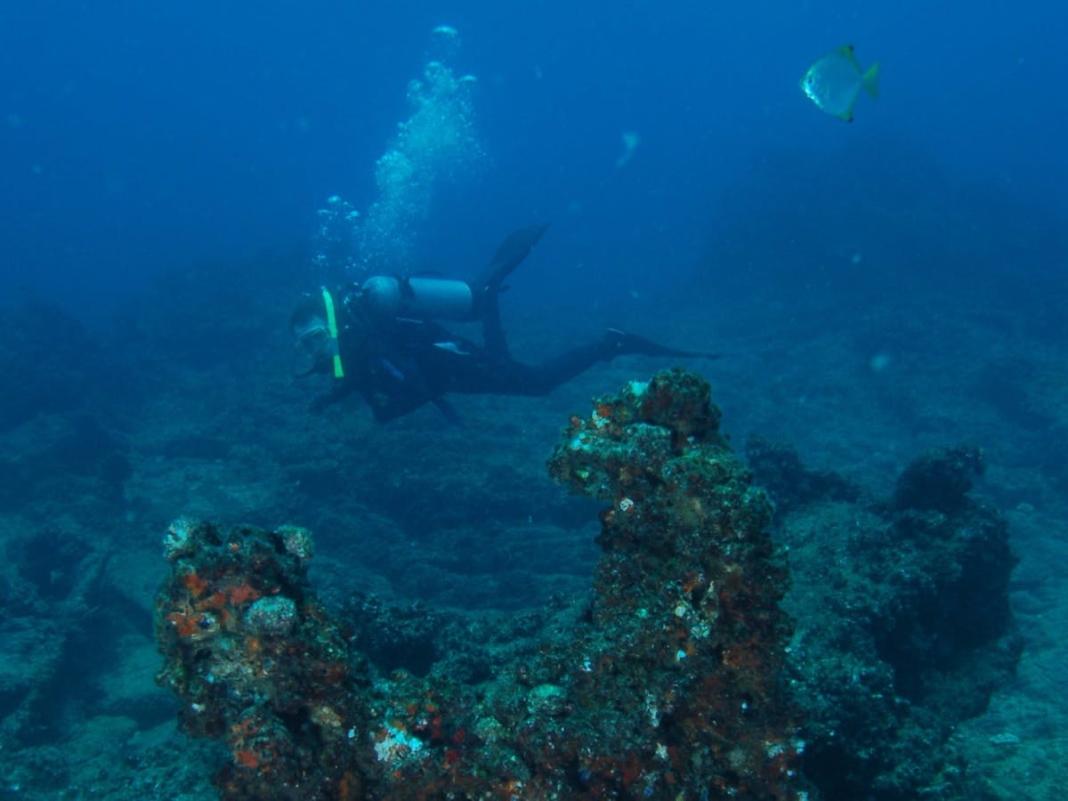 Marietta Dal Shipwreck Dive Site
