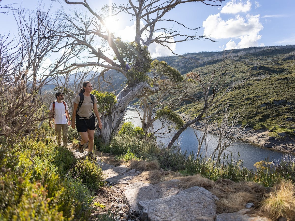 Guthega to Charlotte Pass walk, Guthega