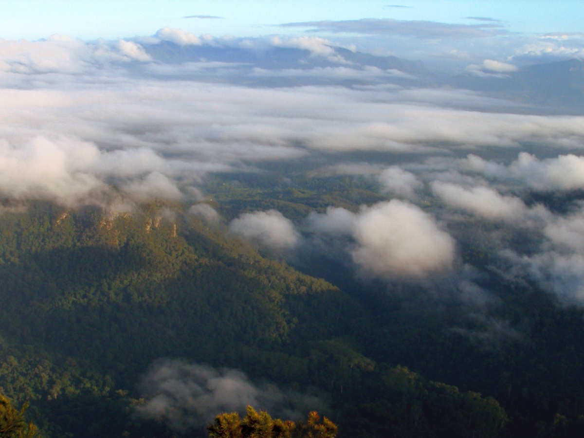 Wollumbin National Park
