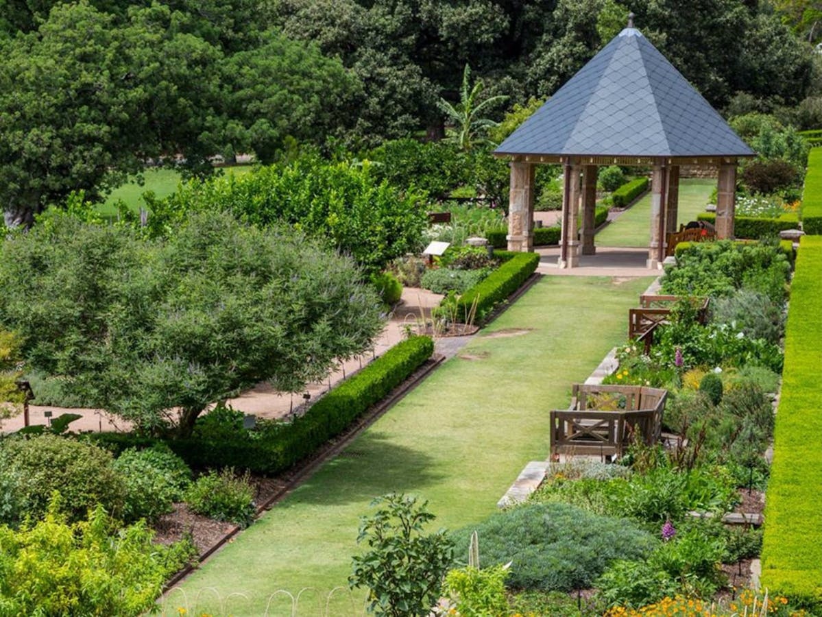 Royal Botanic Garden and the Domain