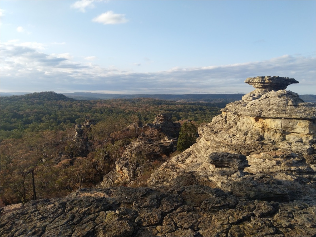 Munghorn Gap Nature Reserve, Munghorn