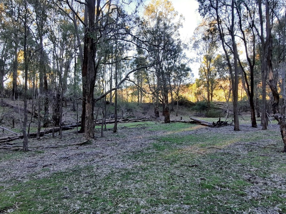 Moolarben picnic area