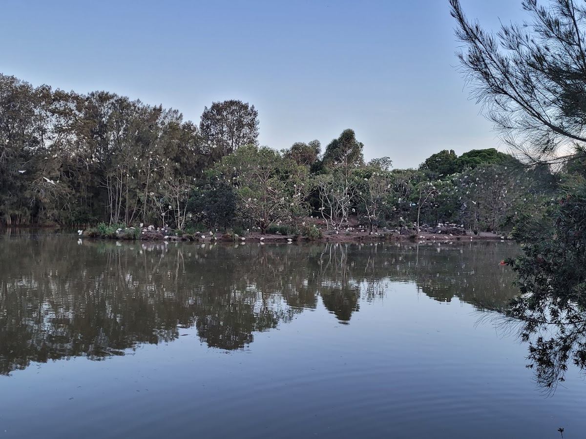 Fay Smith Wetlands